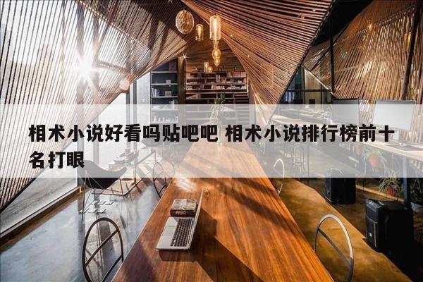 相术小说好看吗贴吧吧 相术小说排行榜前十名打眼