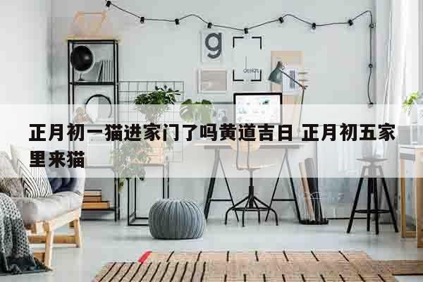 正月初一猫进家门了吗黄道吉日 正月初五家里来猫