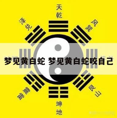 梦见黄白蛇 梦见黄白蛇咬自己