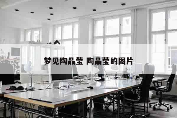 梦见陶晶莹 陶晶莹的图片