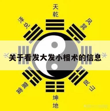 关于看发大发小相术的信息