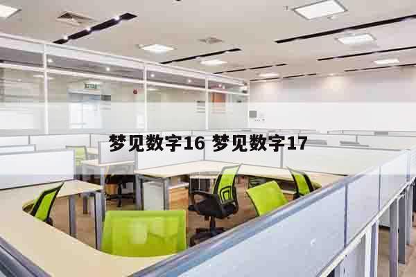 梦见数字16 梦见数字17