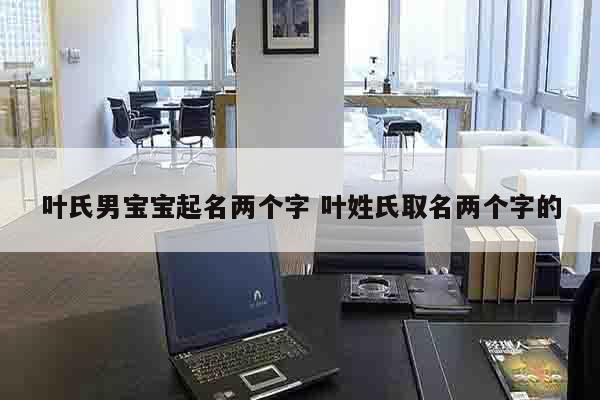 叶氏男宝宝起名两个字 叶姓氏取名两个字的