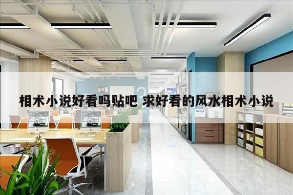 相术小说好看吗贴吧 求好看的风水相术小说