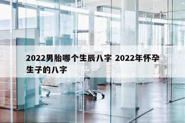 2022男胎哪个生辰八字 2022年怀孕生子的八字