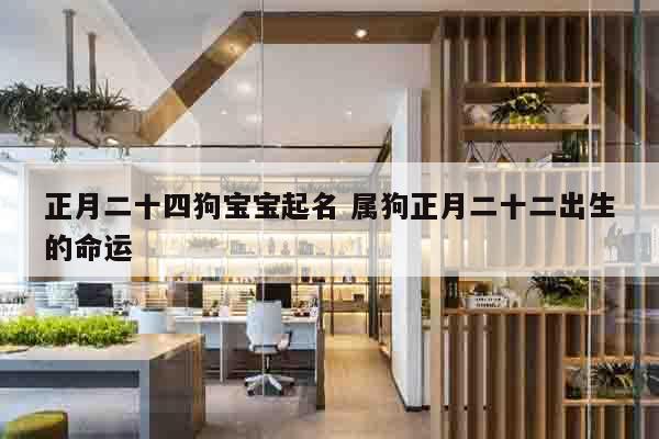 正月二十四狗宝宝起名 属狗正月二十二出生的命运