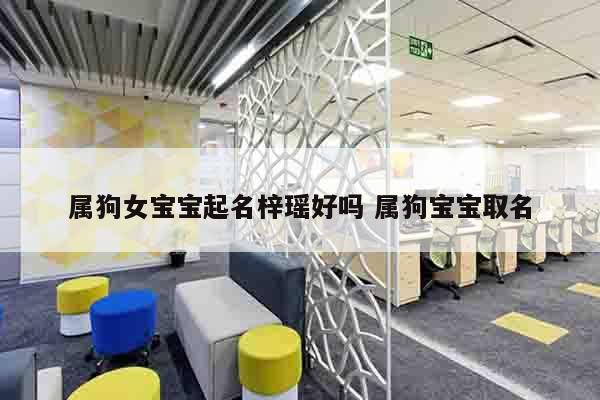 属狗女宝宝起名梓瑶好吗 属狗宝宝取名