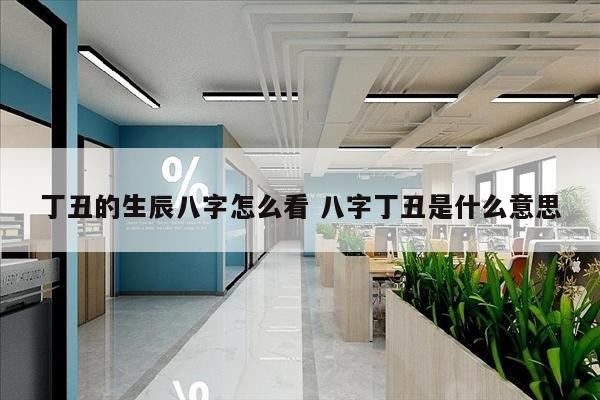 丁丑的生辰八字怎么看 八字丁丑是什么意思