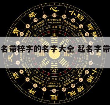 宝宝起名带梓字的名字大全 起名字带梓的有哪些