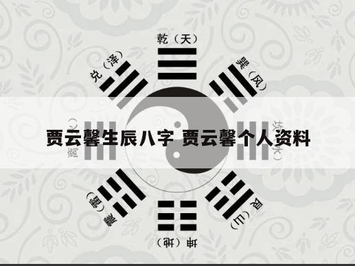 贾云馨生辰八字 贾云馨个人资料