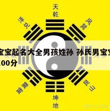 猪年宝宝起名大全男孩姓孙 孙氏男宝宝起名大全100分