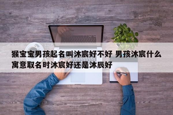 猴宝宝男孩起名叫沐宸好不好 男孩沐宸什么寓意取名时沐宸好还是沐辰好