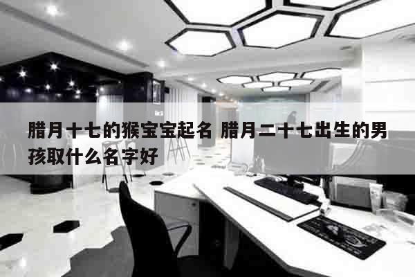 腊月十七的猴宝宝起名 腊月二十七出生的男孩取什么名字好