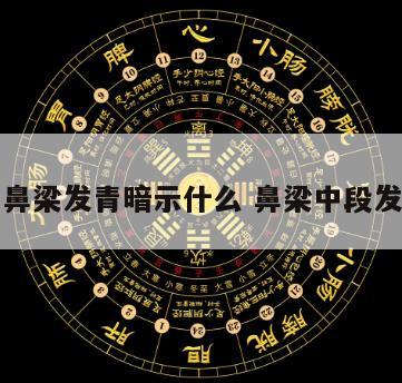 相术里鼻梁发青暗示什么 鼻梁中段发青面相