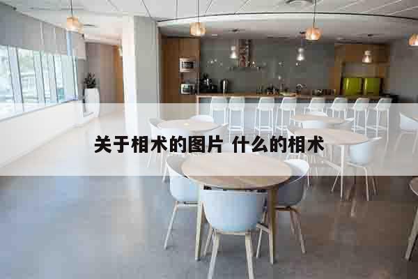 关于相术的图片 什么的相术