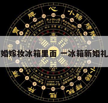 结婚嫁妆冰箱里面 一冰箱新婚礼物