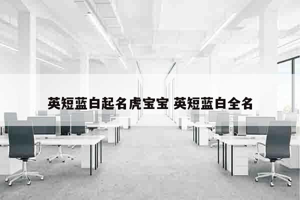 英短蓝白起名虎宝宝 英短蓝白全名