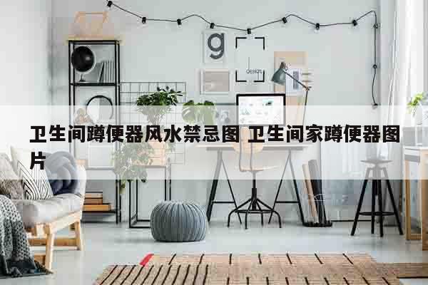 卫生间蹲便器风水禁忌图 卫生间家蹲便器图片