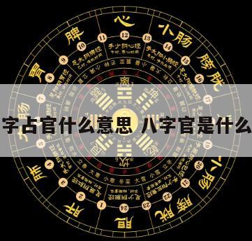 生辰八字占官什么意思 八字官是什么意思呢