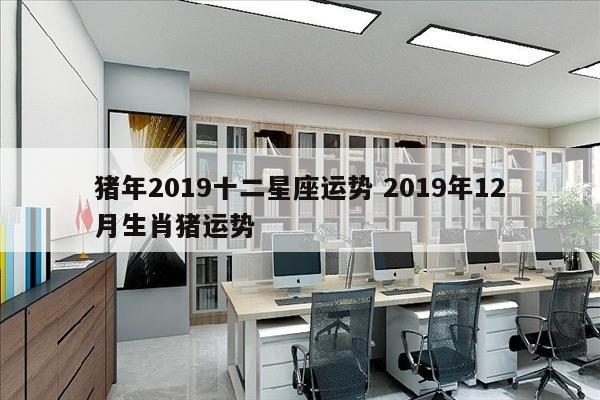 猪年2019十二星座运势 2019年12月生肖猪运势