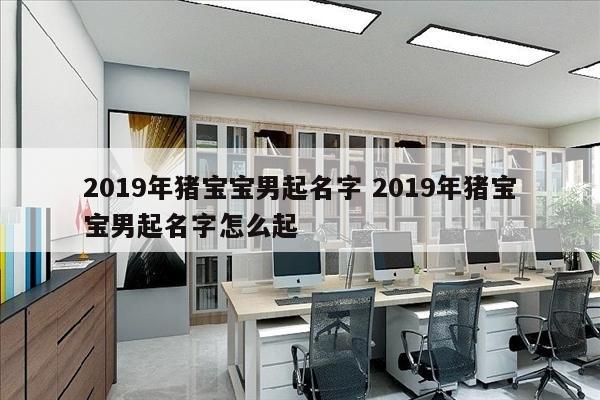 2019年猪宝宝男起名字 2019年猪宝宝男起名字怎么起