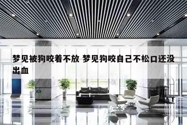 梦见被狗咬着不放 梦见狗咬自己不松口还没出血