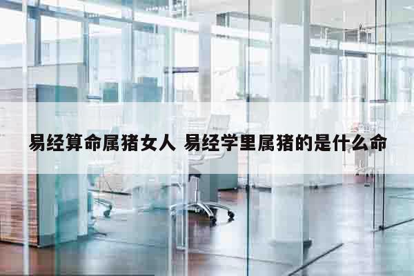 易经算命属猪女人 易经学里属猪的是什么命