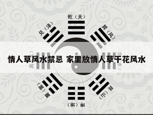 情人草风水禁忌 家里放情人草干花风水