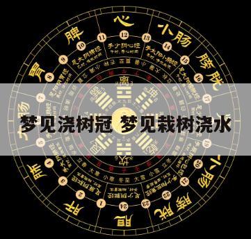 梦见浇树冠 梦见栽树浇水