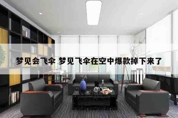 梦见会飞伞 梦见飞伞在空中爆款掉下来了