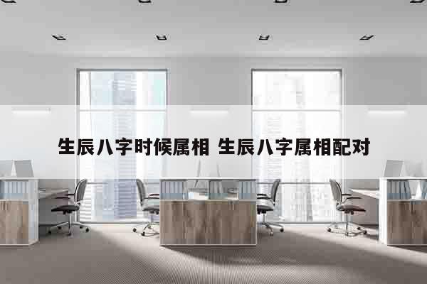 生辰八字时候属相 生辰八字属相配对