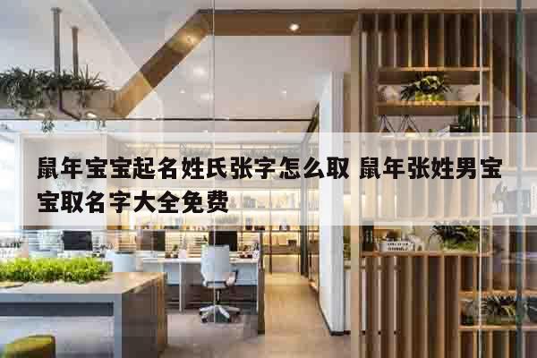 鼠年宝宝起名姓氏张字怎么取 鼠年张姓男宝宝取名字大全免费