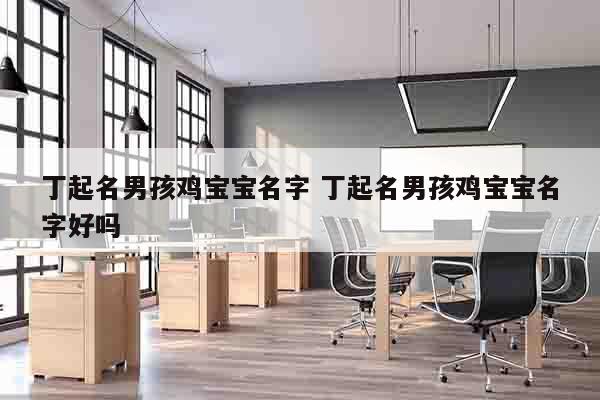 丁起名男孩鸡宝宝名字 丁起名男孩鸡宝宝名字好吗