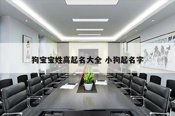 狗宝宝姓高起名大全 小狗起名字