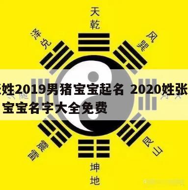 张姓2019男猪宝宝起名 2020姓张的男宝宝名字大全免费