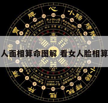 五官女人面相算命图解 看女人脸相算命图解