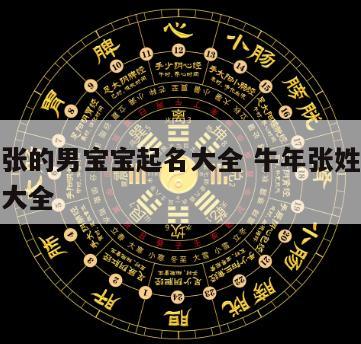 猪年姓张的男宝宝起名大全 牛年张姓男宝宝取名字大全