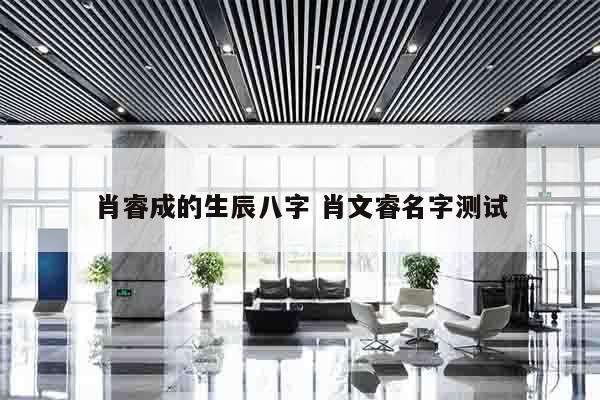 肖睿成的生辰八字 肖文睿名字测试