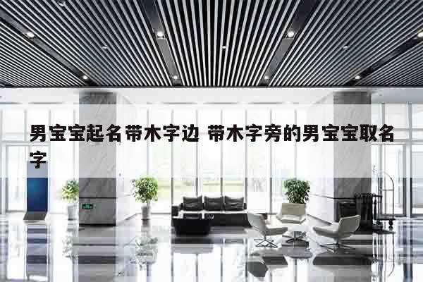 男宝宝起名带木字边 带木字旁的男宝宝取名字