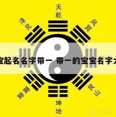 宝宝起名名字带一 带一的宝宝名字大全