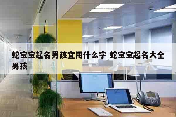 蛇宝宝起名男孩宜用什么字 蛇宝宝起名大全男孩