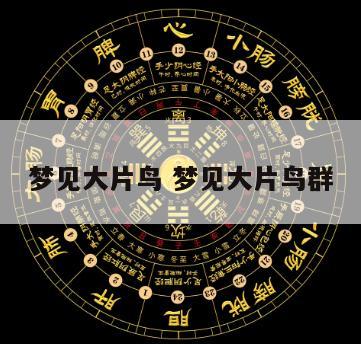 梦见大片鸟 梦见大片鸟群