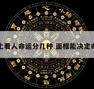 相术上看人命运分几种 面相能决定命运吗