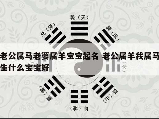 老公属马老婆属羊宝宝起名 老公属羊我属马生什么宝宝好