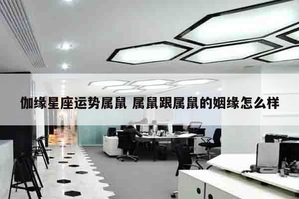 伽缘星座运势属鼠 属鼠跟属鼠的姻缘怎么样