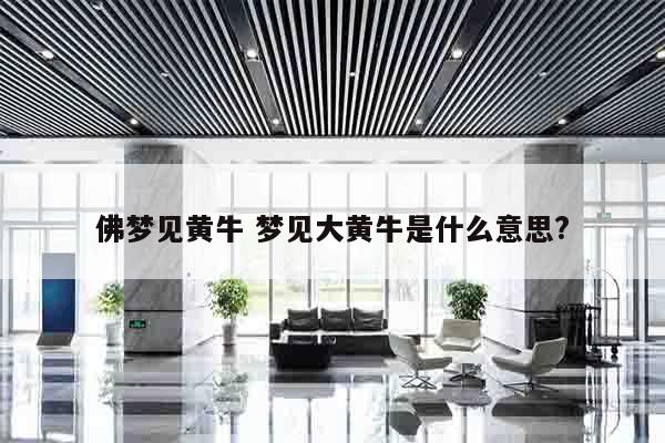 佛梦见黄牛 梦见大黄牛是什么意思?