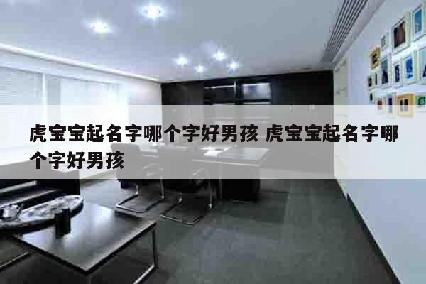 虎宝宝起名字哪个字好男孩 虎宝宝起名字哪个字好男孩