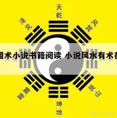 风水相术小说书籍阅读 小说风水有术在线阅读