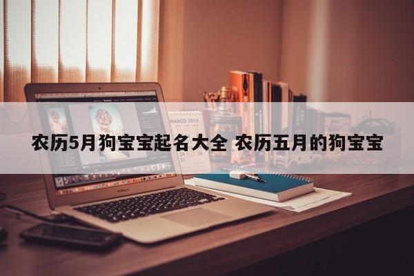 农历5月狗宝宝起名大全 农历五月的狗宝宝