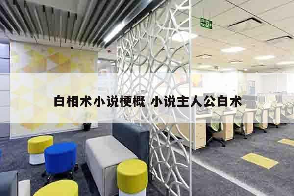 白相术小说梗概 小说主人公白术